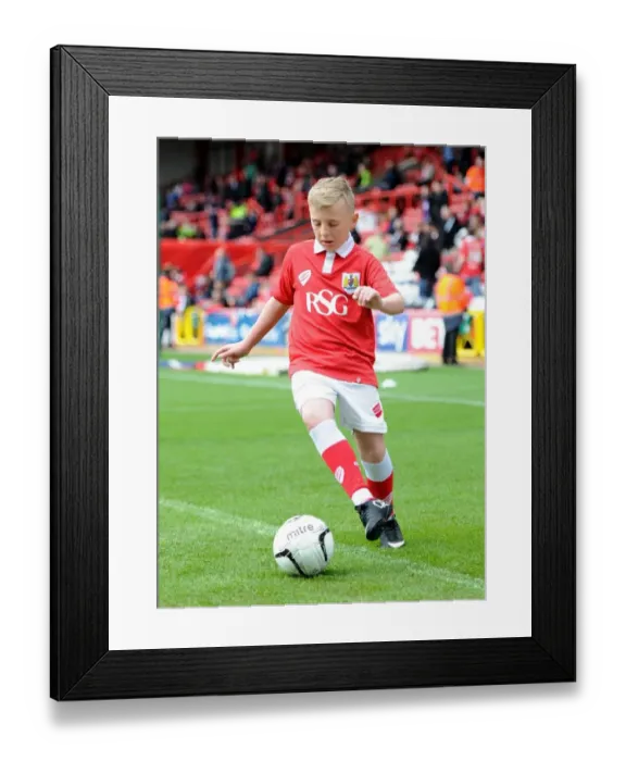 Framed Print : Bristol City vs Walsall: Title Decided By May 2015 Sky Bet League One Showdown at Ashton Gate Framed Print : Bristol City vs Walsall: Title Decided By May 2015 Sky Bet League One Showdown at Ashton Gate