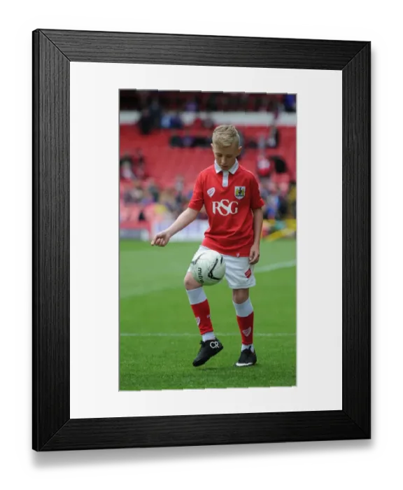 Framed Print : Bristol City vs Walsall: Sky Bet League One Showdown at Ashton Gate, May 2015