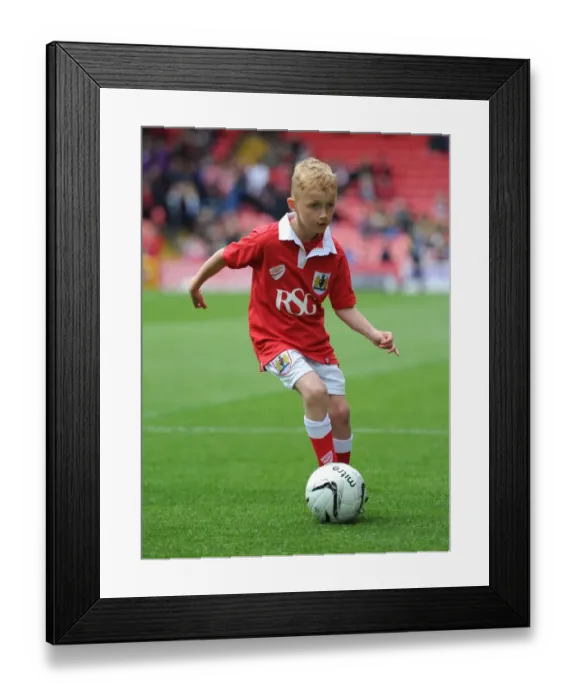 Framed Print : Mascots Clash: Bristol City vs Walsall, Sky Bet League One at Ashton Gate Stadium (May 3, 2015) Framed Print : Mascots Clash: Bristol City vs Walsall, Sky Bet League One at Ashton Gate Stadium (May 3, 2015)
