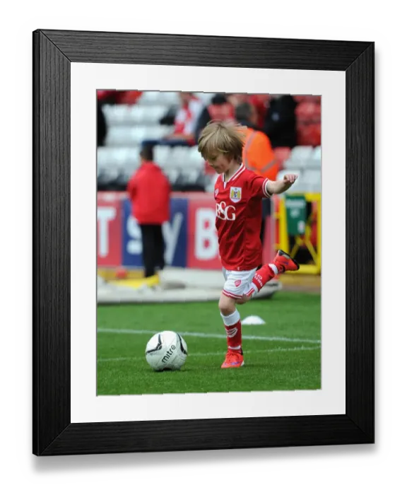 Framed Print : Mascots Clash: Bristol City vs Walsall, Sky Bet League One at Ashton Gate Stadium (May 3, 2015) Framed Print : Mascots Clash: Bristol City vs Walsall, Sky Bet League One at Ashton Gate Stadium (May 3, 2015)
