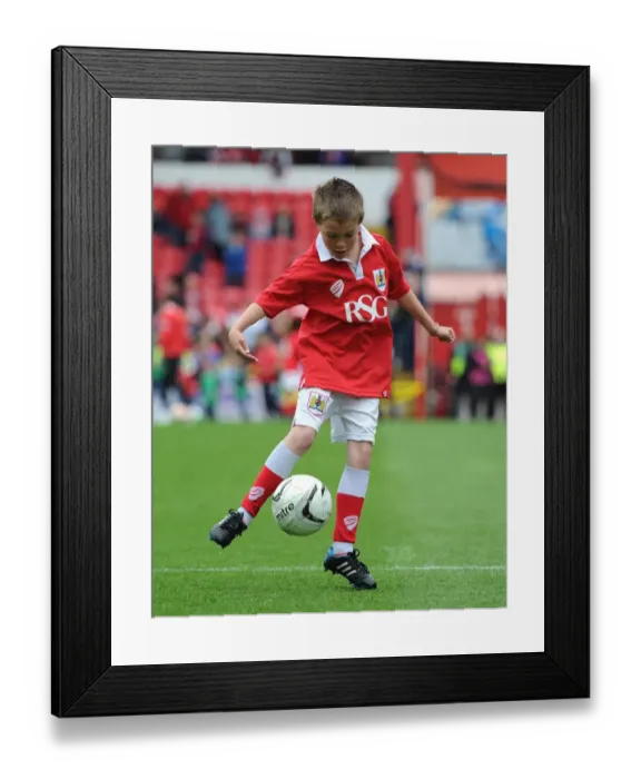 Framed Print : Mascot at Ashton Gate: Bristol City vs Walsall, Sky Bet League One Match, May 3, 2015 Framed Print : Mascot at Ashton Gate: Bristol City vs Walsall, Sky Bet League One Match, May 3, 2015