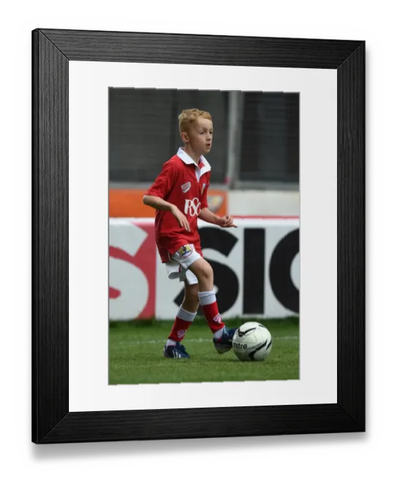 Framed Print : Bristol City vs Walsall: Sky Bet League One Clash at Ashton Gate, May 2015