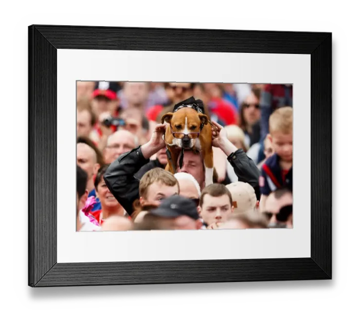Framed Print : Thousands Rejoice: Bristol City's Euphoric Bus Parade - League 1 & Johnstones Paint Trophy Champions Framed Print : Thousands Rejoice: Bristol City's Euphoric Bus Parade - League 1 & Johnstones Paint Trophy Champions
