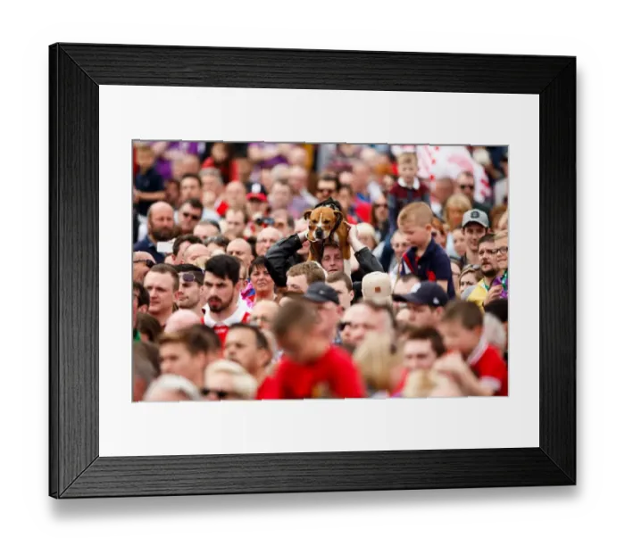 Framed Print : Thousands Rejoice: Unforgettable Bus Parade - Double Victory: League 1 and Johnstones Paint Trophy - Bristol City's Promotion to Championship Framed Print : Thousands Rejoice: Unforgettable Bus Parade - Double Victory: League 1 and Johnstones Paint Trophy - Bristol City's Promotion to Championship