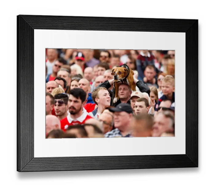 Framed Print : Thousands Rejoice: Bristol City's Unforgettable Bus Parade - League 1 & Johnstones Paint Trophy Champions Framed Print : Thousands Rejoice: Bristol City's Unforgettable Bus Parade - League 1 & Johnstones Paint Trophy Champions