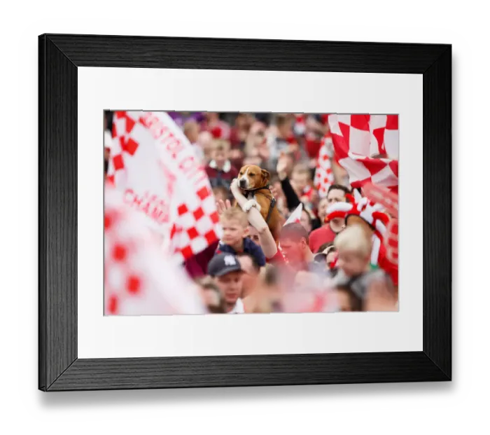 Framed Print : Thousands Rejoice: A Sea of Celebrating Bristol City Football Club Fans and a Loyal Canine Companion Framed Print : Thousands Rejoice: A Sea of Celebrating Bristol City Football Club Fans and a Loyal Canine Companion