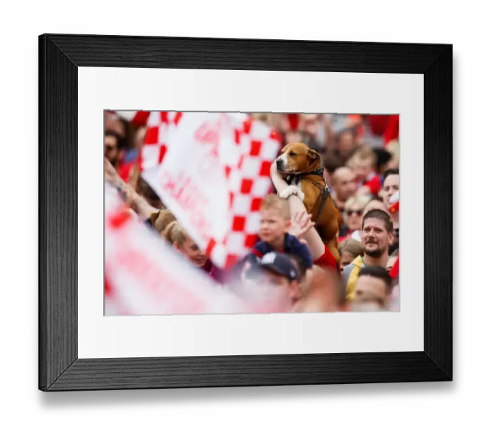 Framed Print : Thousands Rejoice: A Sea of Celebration - Bristol City's Championship Promotion Parade with a Furry Friend