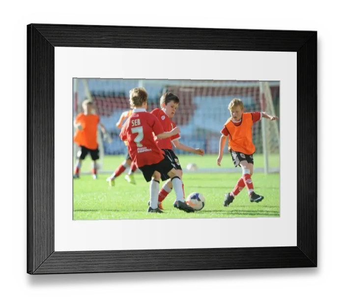 Framed Print : Behind the Scenes at Bristol City Football Club: Training at Ashton Gate Stadium, May 2015 Framed Print : Behind the Scenes at Bristol City Football Club: Training at Ashton Gate Stadium, May 2015