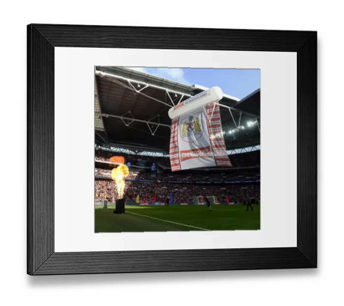 Framed Print : Bristol City vs Walsall - Johnstone's Paint Trophy Final, Wembley Stadium (2015)