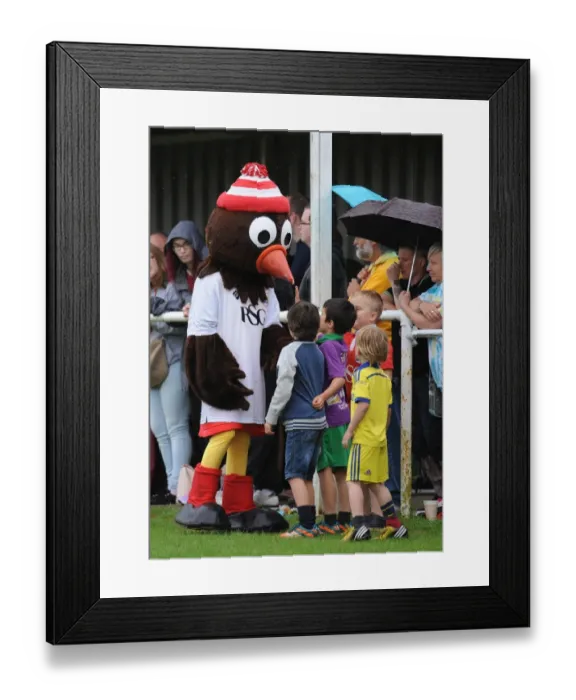 Framed Print : Bristol City's Scrumpy the Robin Engages with Young Fans during Pre-Season Friendly at Brislington Stadium (July 2015) Framed Print : Bristol City's Scrumpy the Robin Engages with Young Fans during Pre-Season Friendly at Brislington Stadium (July 2015)
