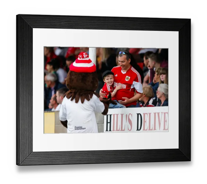 Framed Print : Young Fan Smiles at Scrumpy: Bristol City Pre-Season Community Match, 2015