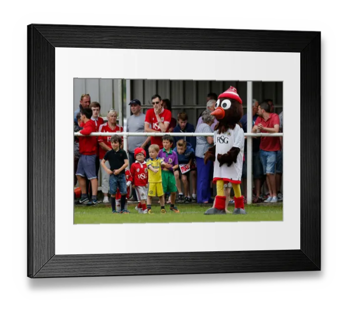 Framed Print : Bristol City FC Fans and Scrumpy Celebrate Pre-Season Victory Framed Print : Bristol City FC Fans and Scrumpy Celebrate Pre-Season Victory
