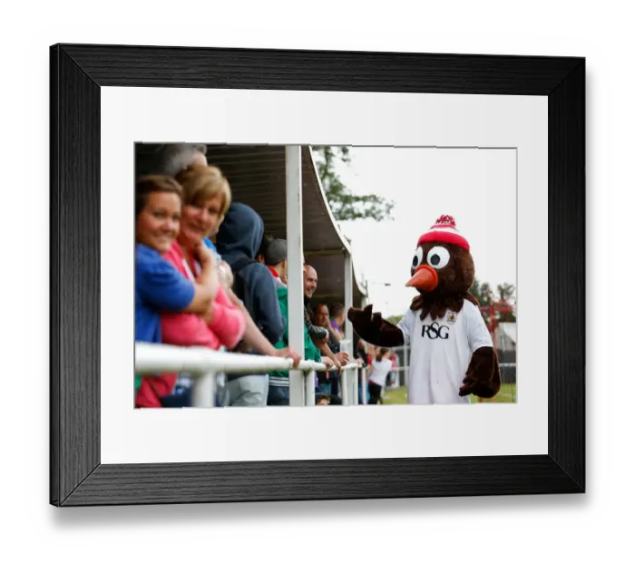Framed Print : Bristol City Football Club: Pre-Season Community Match at Brislington Stadium with Mascot Scrumpy Framed Print : Bristol City Football Club: Pre-Season Community Match at Brislington Stadium with Mascot Scrumpy