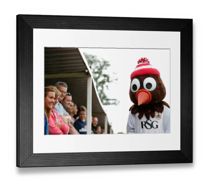 Framed Print : Bristol City FC's Scrumpy Mascot at Pre-Season Community Match, Brislington Stadium Framed Print : Bristol City FC's Scrumpy Mascot at Pre-Season Community Match, Brislington Stadium