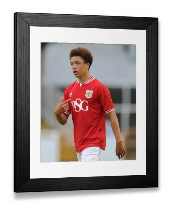 Framed Print : Ash Harper in Action: Bristol City's Pre-Season Clash against Bath City, July 2015