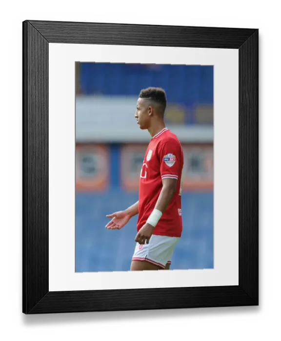 Framed Print : Callum Robinson in Action: Bristol City vs. Sheffield Wednesday (August 8, 2015)