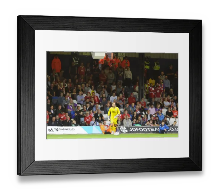 Framed Print : Bristol City Fans at Luton Town's Kenilworth Road during Capital One Cup Match, 11 / 08 / 2015 Framed Print : Bristol City Fans at Luton Town's Kenilworth Road during Capital One Cup Match, 11 / 08 / 2015