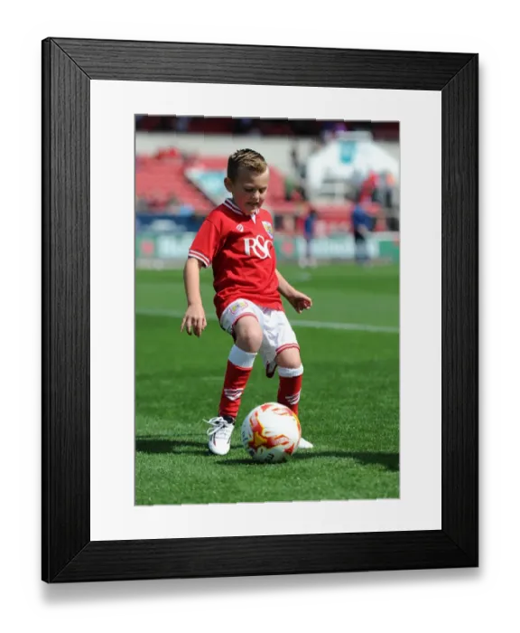 Framed Print : Bristol City Mascot at Ashton Gate - Sky Bet Championship Match Against Brentford Framed Print : Bristol City Mascot at Ashton Gate - Sky Bet Championship Match Against Brentford