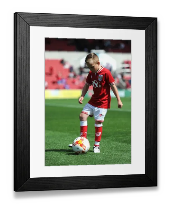 Framed Print : Intense Moment at Ashton Gate: Bristol City Mascot Amidst the Sky Bet Championship Action Framed Print : Intense Moment at Ashton Gate: Bristol City Mascot Amidst the Sky Bet Championship Action