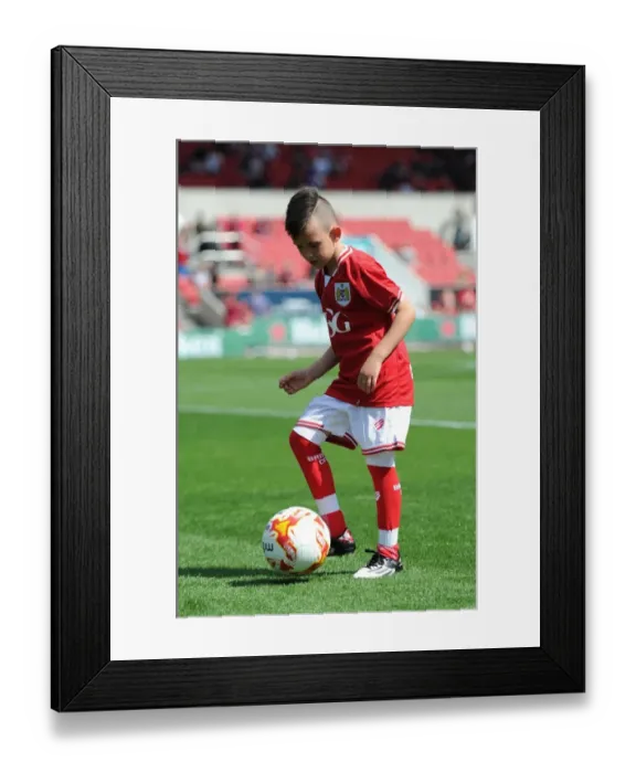 Framed Print : Sky Bet Championship Showdown: Bristol City vs Brentford at Ashton Gate Stadium (August 15, 2015) Framed Print : Sky Bet Championship Showdown: Bristol City vs Brentford at Ashton Gate Stadium (August 15, 2015)