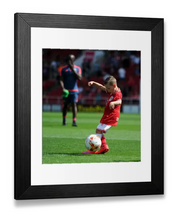 Framed Print : Sky Bet Championship Showdown: Bristol City Mascot at Ashton Gate