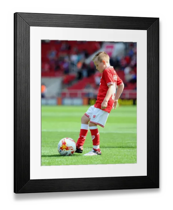 Framed Print : Sky Bet Championship Showdown: Bristol City vs Brentford at Ashton Gate Stadium (August 15, 2015)