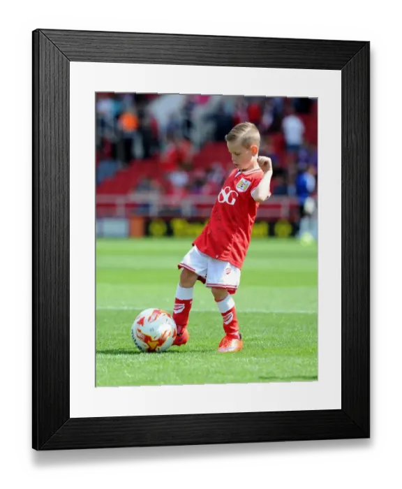 Framed Print : Sky Bet Championship Showdown: The Excited Bristol City Mascot at Ashton Gate Framed Print : Sky Bet Championship Showdown: The Excited Bristol City Mascot at Ashton Gate