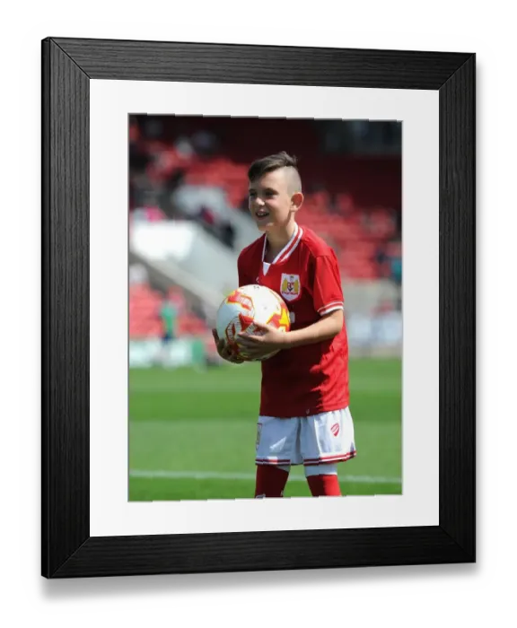Framed Print : Bristol City Mascot at Ashton Gate: Sky Bet Championship Match Against Brentford