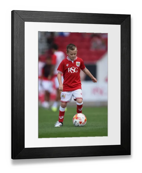 Framed Print : Sky Bet Championship Showdown: Bristol City vs Brentford at Ashton Gate Stadium (August 15, 2015) Framed Print : Sky Bet Championship Showdown: Bristol City vs Brentford at Ashton Gate Stadium (August 15, 2015)