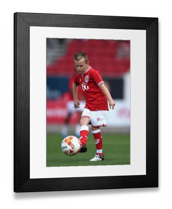 Framed Print : Bristol City Mascot at Ashton Gate: Bristol City vs. Brentford, Sky Bet Championship (150815)