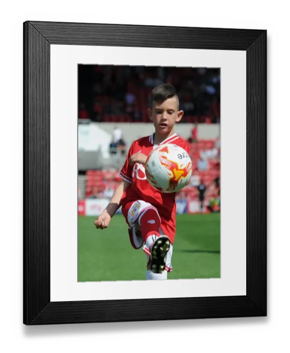 Framed Print : Bristol City Mascot Rallies Fans at Ashton Gate: Sky Bet Championship Clash vs. Brentford Framed Print : Bristol City Mascot Rallies Fans at Ashton Gate: Sky Bet Championship Clash vs. Brentford