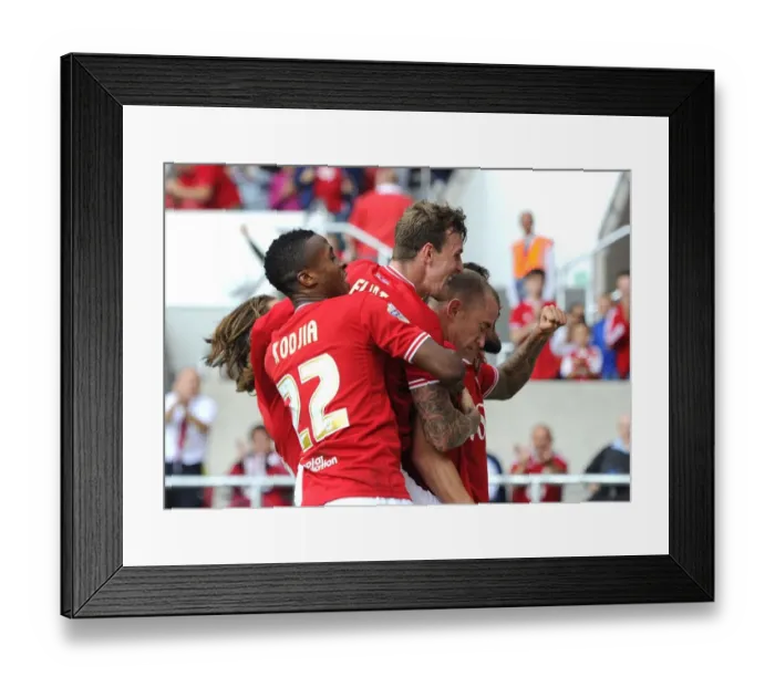 Framed Print : Bristol City's Aaron Wilbraham Leads Euphoric Celebration After Goal Against Brentford (Sky Bet Championship, 2015)