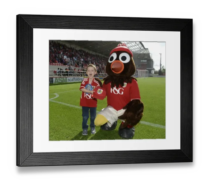 Framed Print : Bristol City vs Brentford: Clash at Ashton Gate, Sky Bet Championship (15 / 08 / 2015) Framed Print : Bristol City vs Brentford: Clash at Ashton Gate, Sky Bet Championship (15 / 08 / 2015)