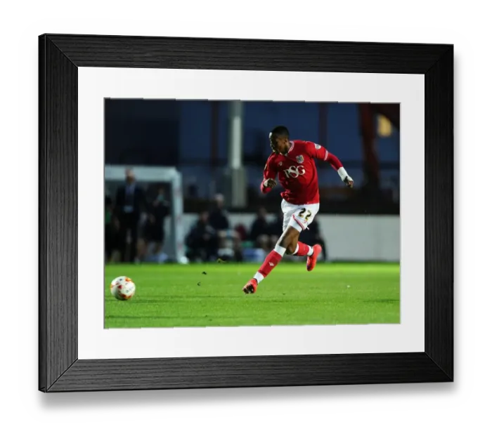 Framed Print : Bristol City v Leeds United 190815