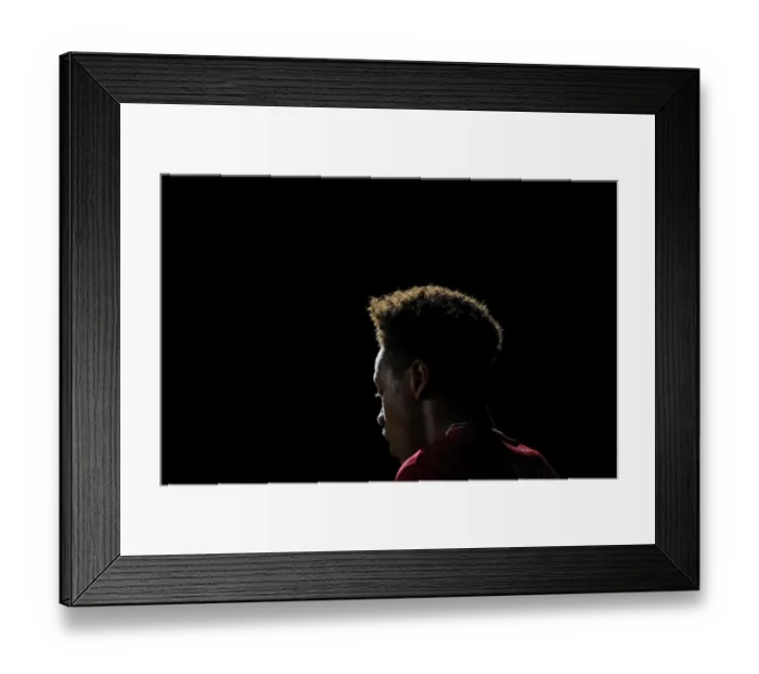 Framed Print : Bristol City vs Leeds United: Bobby Reid in Action at Ashton Gate, 2015 Framed Print : Bristol City vs Leeds United: Bobby Reid in Action at Ashton Gate, 2015