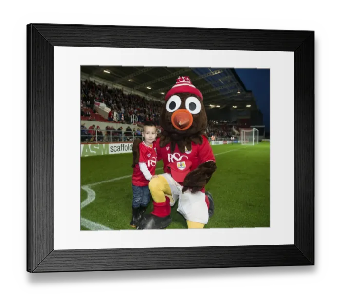 Framed Print : Bristol City vs Leeds United Clash at Ashton Gate: Sky Bet Championship (August 2015)