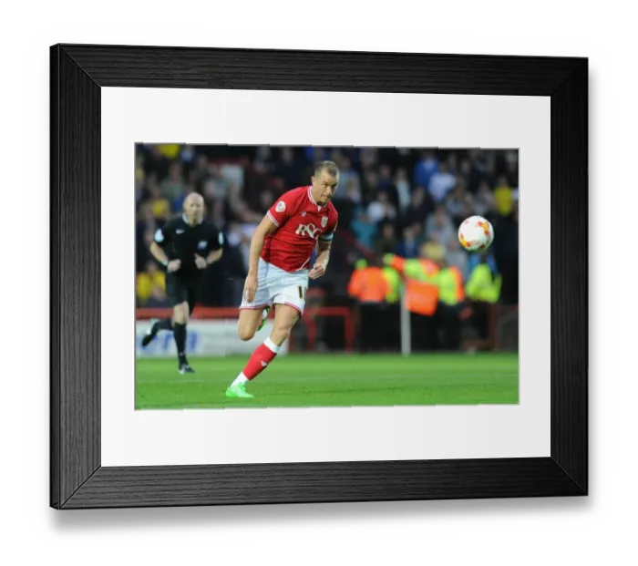 Framed Print : Bristol City vs Leeds United: Aaron Wilbraham in Action at Ashton Gate (2015) Framed Print : Bristol City vs Leeds United: Aaron Wilbraham in Action at Ashton Gate (2015)