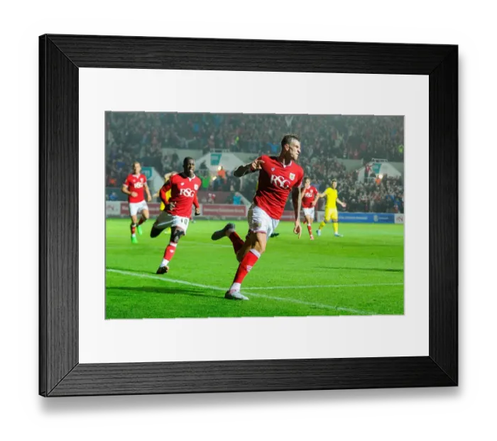 Framed Print : Last-Minute Drama: Aden Flint Scores Stunner for 2-2 Draw vs Leeds United Framed Print : Last-Minute Drama: Aden Flint Scores Stunner for 2-2 Draw vs Leeds United