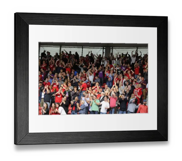 Framed Print : Bristol City's Euphoric Victory: Middlesbrough 0-1 Bristol City (Sky Bet Championship, 2015)