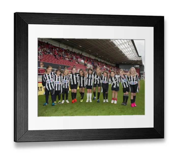 Framed Print : Bristol City vs Burnley Clash in Sky Bet Championship (2015) - Ashton Gate Framed Print : Bristol City vs Burnley Clash in Sky Bet Championship (2015) - Ashton Gate