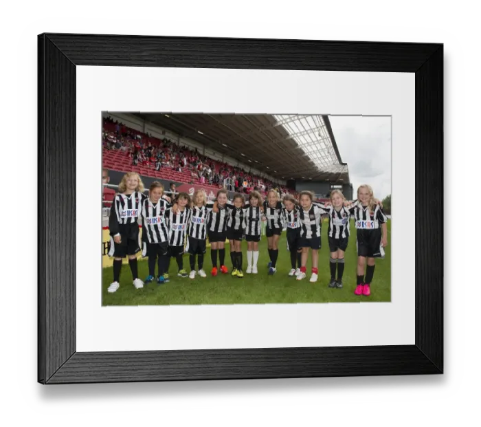 Framed Print : Bristol City vs Burnley Clash in Sky Bet Championship (2015) - Ashton Gate