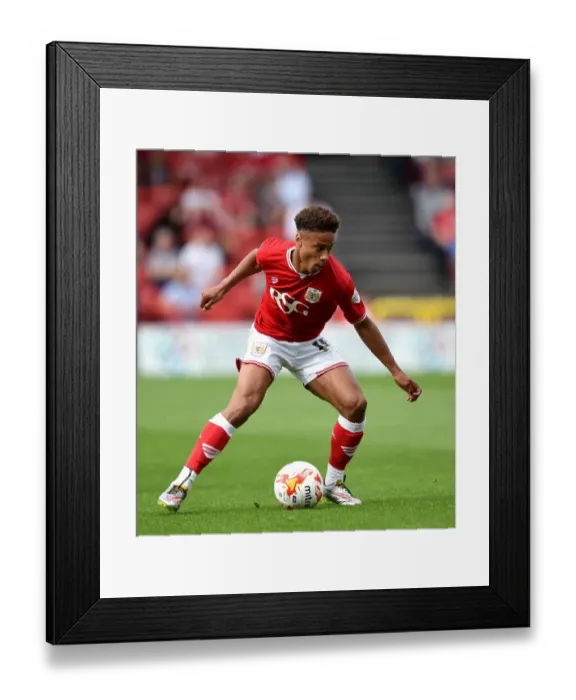 Framed Print : Bobby Reid in Action: Bristol City vs Burnley, Sky Bet Championship (August 2015) Framed Print : Bobby Reid in Action: Bristol City vs Burnley, Sky Bet Championship (August 2015)