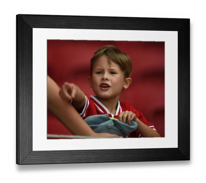 Framed Print : Bristol City vs Burnley: Intense Clash in the Sky Bet Championship at Ashton Gate Stadium (2015) Framed Print : Bristol City vs Burnley: Intense Clash in the Sky Bet Championship at Ashton Gate Stadium (2015)
