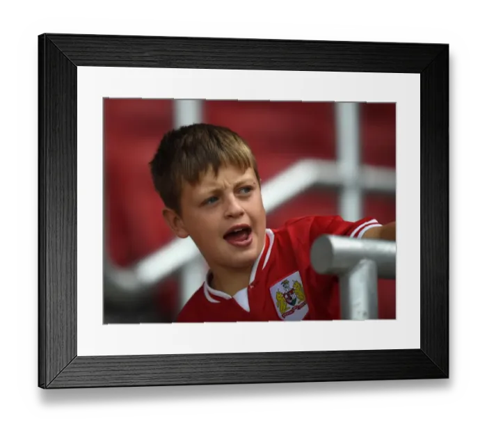Framed Print : Bristol City vs Burnley: Sky Bet Championship Clash at Ashton Gate (August 2015) Framed Print : Bristol City vs Burnley: Sky Bet Championship Clash at Ashton Gate (August 2015)