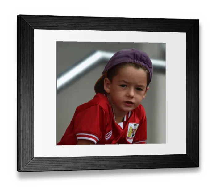 Framed Print : Sky Bet Championship Showdown: Bristol City vs Burnley at Ashton Gate Stadium (2015) Framed Print : Sky Bet Championship Showdown: Bristol City vs Burnley at Ashton Gate Stadium (2015)
