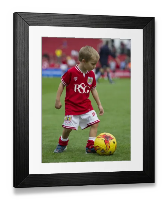 Framed Print : Intense Clash in Sky Bet Championship: Bristol City vs Burnley at Ashton Gate Stadium (2015) Framed Print : Intense Clash in Sky Bet Championship: Bristol City vs Burnley at Ashton Gate Stadium (2015)