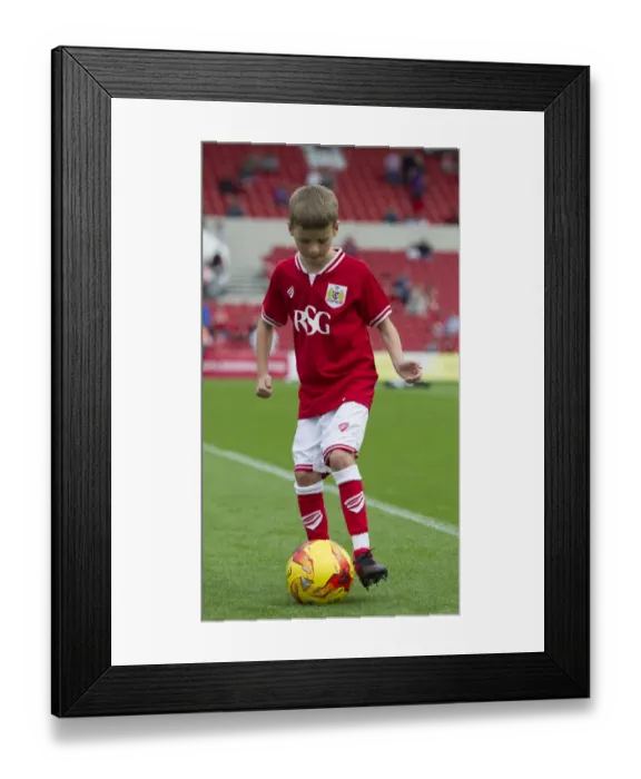 Framed Print : Bristol City vs Burnley: Clash at Ashton Gate Stadium, Sky Bet Championship (August 2015)