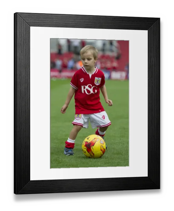 Framed Print : Bristol City vs Burnley Clash at Ashton Gate Stadium (Sky Bet Championship, 2015) Framed Print : Bristol City vs Burnley Clash at Ashton Gate Stadium (Sky Bet Championship, 2015)