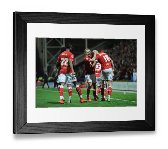 Framed Print : Bristol City Celebrate Aaron Wilbraham's Goal Against Preston North End, Sky Bet Championship 2015