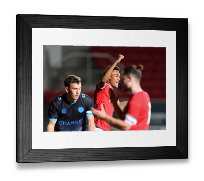 Framed Print : Bristol City U21's Victory: Marley Bishop-Wisdom Celebrates Own-Goal by Sheffield Wednesday U21's Will De Havilland Framed Print : Bristol City U21's Victory: Marley Bishop-Wisdom Celebrates Own-Goal by Sheffield Wednesday U21's Will De Havilland